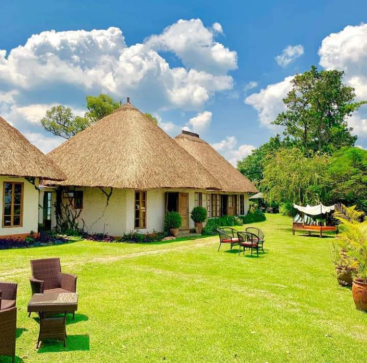 JonahRuhima's tweet photo. This is Lake Nyinambuga that features on our 20k note. Its found in #Tooro. Overlooking it on the Ridge is Ndali Lodge. This Safari Lodge is 25 years, and now run by 3rd-generation owners. But still evokes vintage scenes of early explorers; homely and private.
#VisitUganda https://t.co/Az6LuYEssx