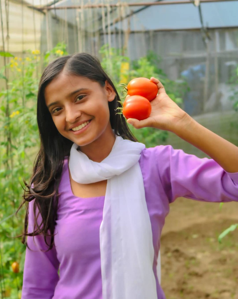 Tmlai ta ma tamatar becherai paldinxu😹😹🤭