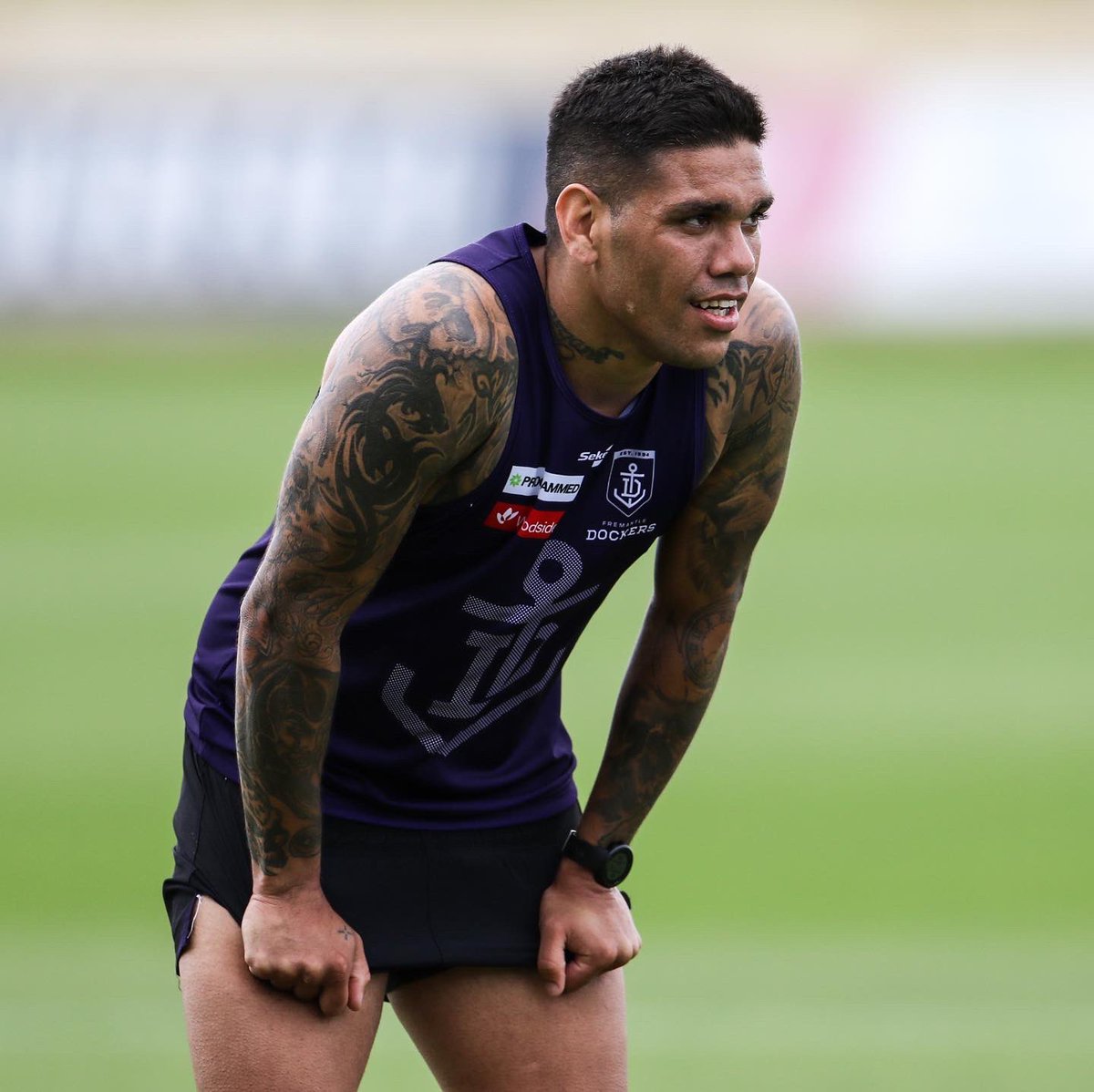 Fremantle Dockers tweet media