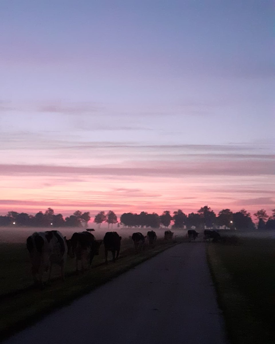 #Koeiemorgen!!! Dit was het uitzicht van Marije gisteren ochtend #wauw!!!
Bedankt Marije
#koeblijboerblij #heerlijk #zo #een #uitzicht #maak #er #een #mooie #dag #van😁 #melknatuurlijk #MelkIsGoedVoorElk