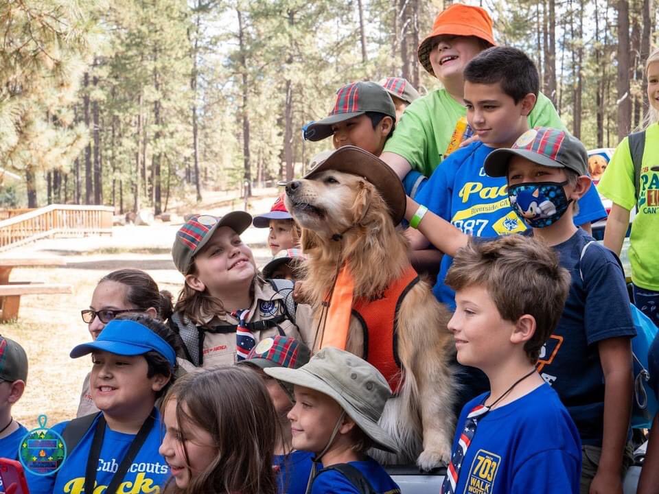 Pack1887's tweet photo. We got to visit with Mayor Max  at Webelos Woods! #Pack1887 #MayorMax #Idyllwild #WebelosWoods https://t.co/di1E8kOOpj