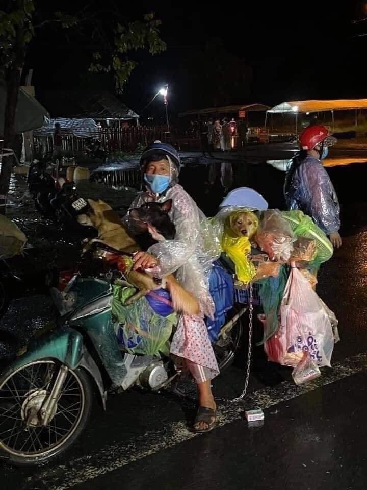 Hạnh Hyun tweet media