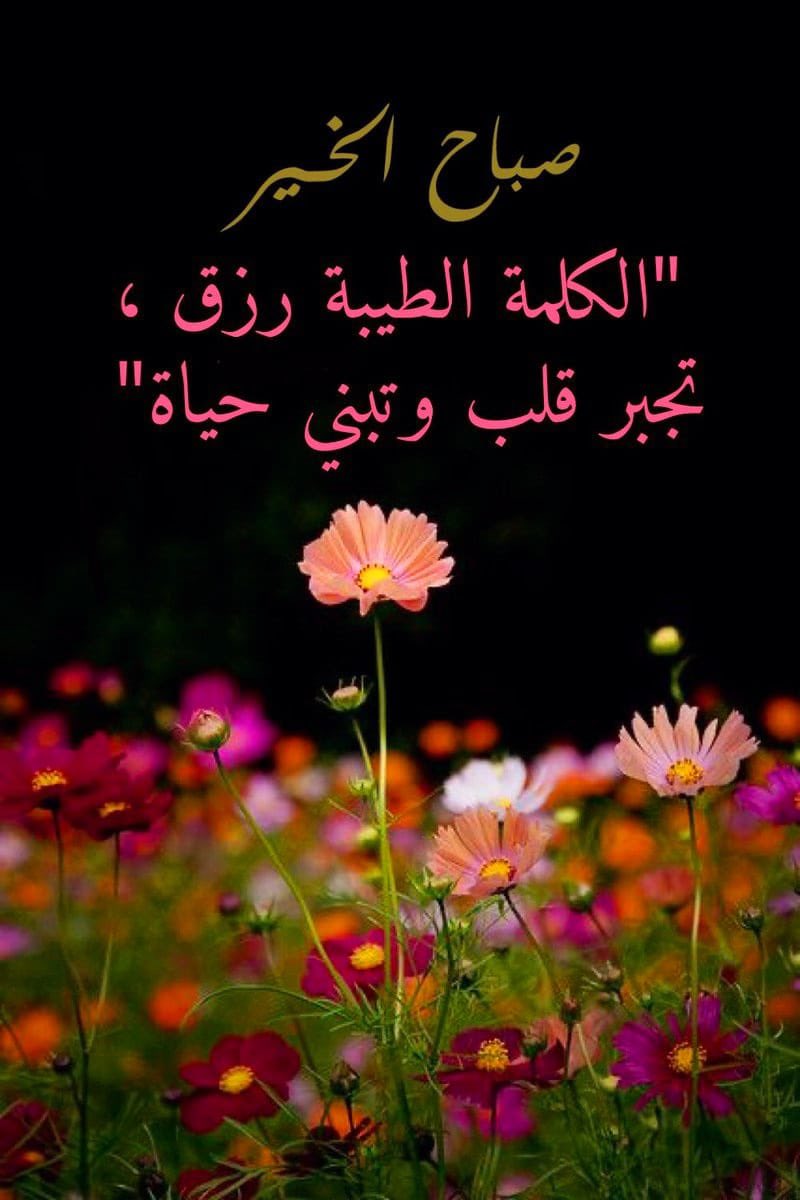 Y6i0l's tweet photo. ما زاحمت الحوقلة همًا إلإ بدّدته ولا ضيقاً إلا فرجته ولا مرضاً إلا شتته . . 
" لا حول ولا قوة الإ بالله ".
صباح الخير💕 https://t.co/PaO6wjcWBK