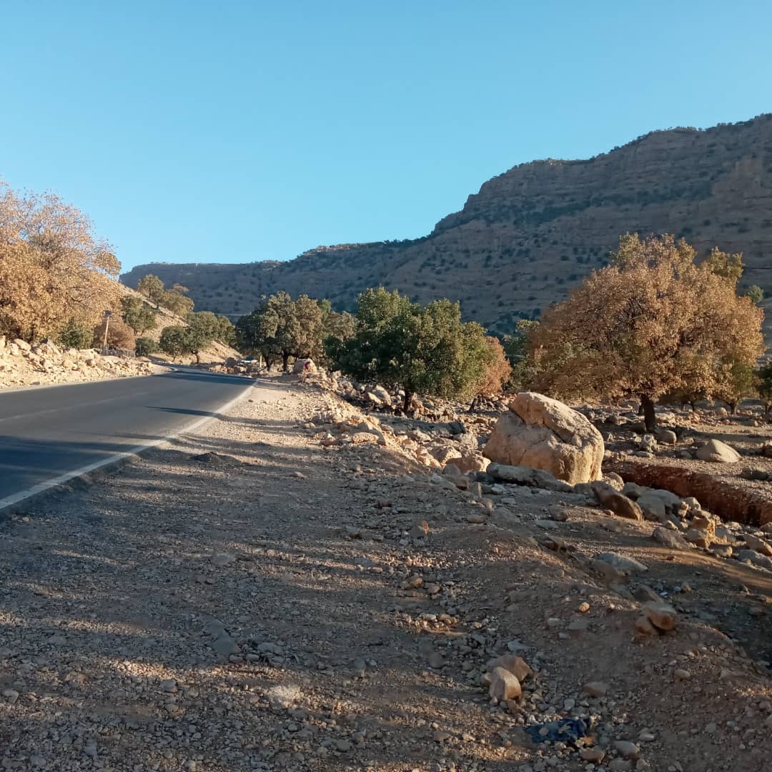 enikteach's tweet photo. ای که دستت می رسد کاری بکن
از همه طبیعت دوستان خواهش می کنم در حد توان برای نجات جان جنگل های بلوط منطقه چاروسا کمک کنید اگر جلوی این بیماری گرفته نشه شک نکنید هکتارها جنگل بلوط منطقه طی یکی دو سال آینده از بین خواهند رفت https://t.co/CEo6f8HiHm