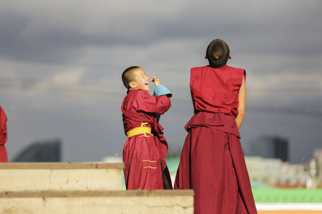 buddhistsociety's tweet photo. "The key to maintaining your inspiration in the day-to-day work of meditation practice is to approach it as play—a happy opportunity to master practical skills, to raise questions, experiment, and explore."
Thanissaro Bhikkhu https://t.co/BfNMbr2fzP