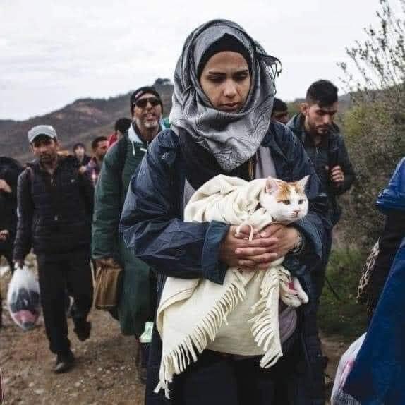 Thought for today

How many people gave back their animals after lockdown ended?

This woman is obviously having to leave her home with only what she can carry; &amp; that includes her cat &amp; his/her blanket.

I know who I’d prefer as my neighbour.

<a href="/zbleumoon/">Sarah ☮ & █▄❤️╲╱☰ Ⓥ🐘🐯🐬🐷🐥🐄</a> @Mama4Animals 

📸n/a