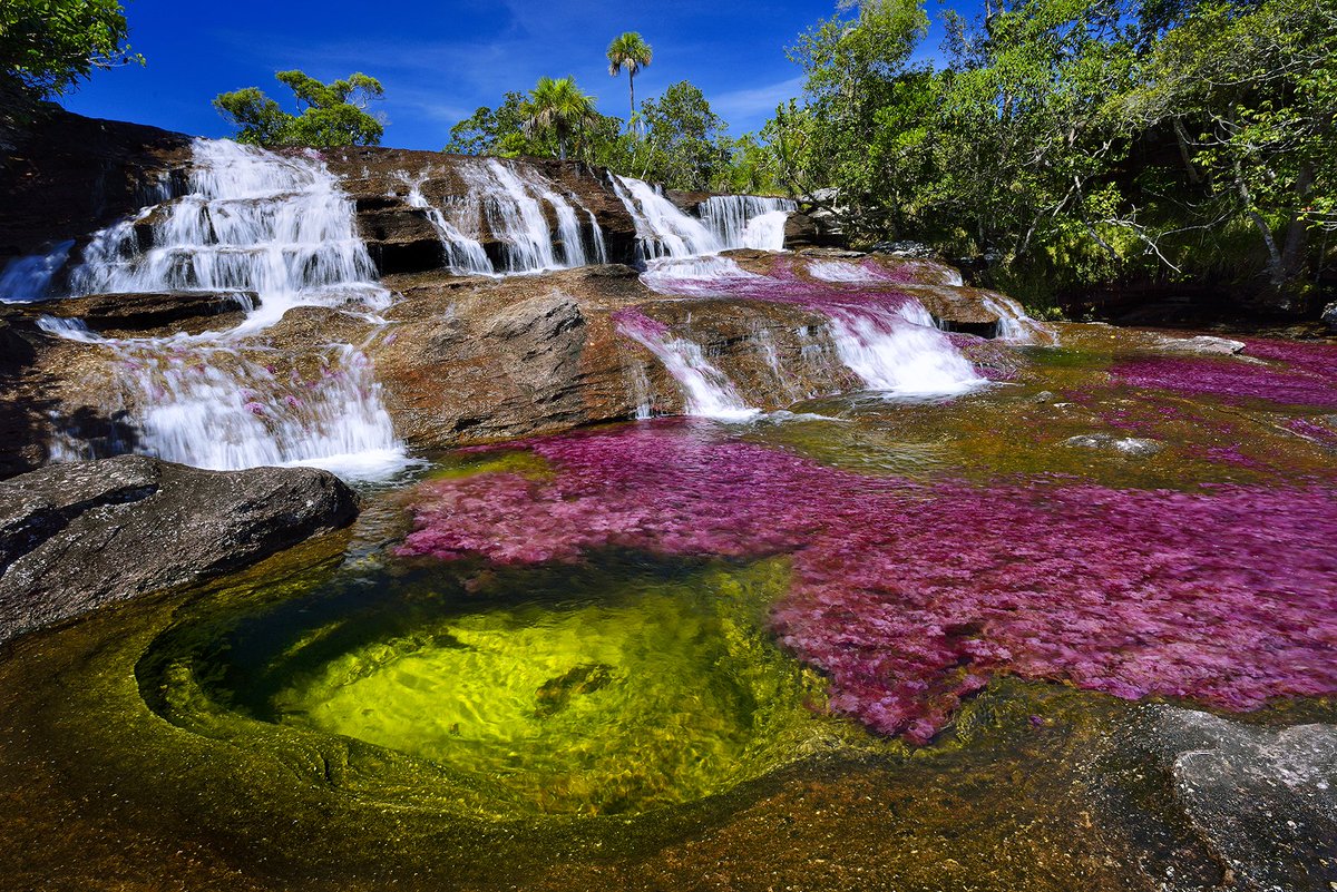maxs_reloaded's tweet photo. Caño cristales, Piedra del peñol, Farallones y Valle del Cocora, son algunas de las referencias de los bellos paisajes de nuestro país 🇨🇴🇨🇴y que a su vez estarán en el juego, hoy mas que nunca, orgulloso de ser Colombiano y Latinoamericano!! ❤️😁😁 https://t.co/t5khkWTju4