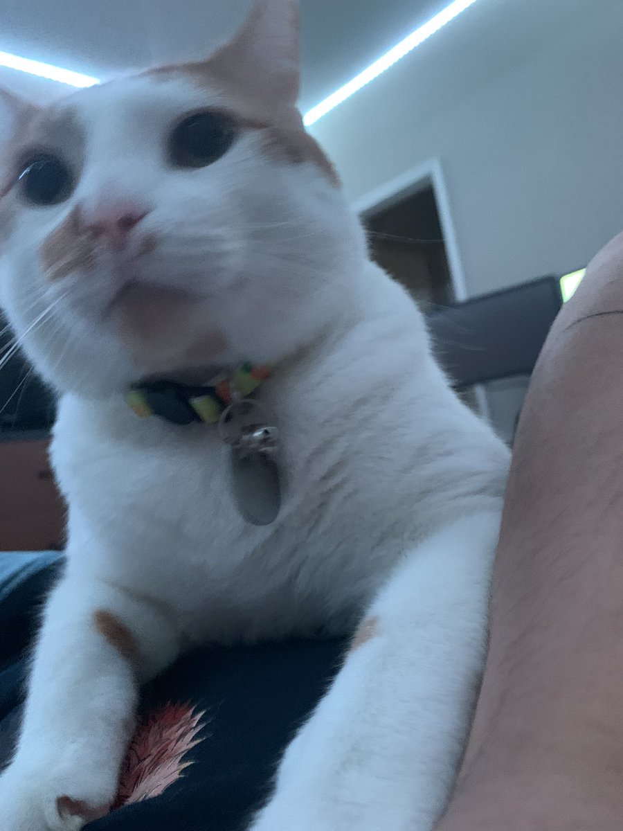 ck 🇵🇭 tweet media