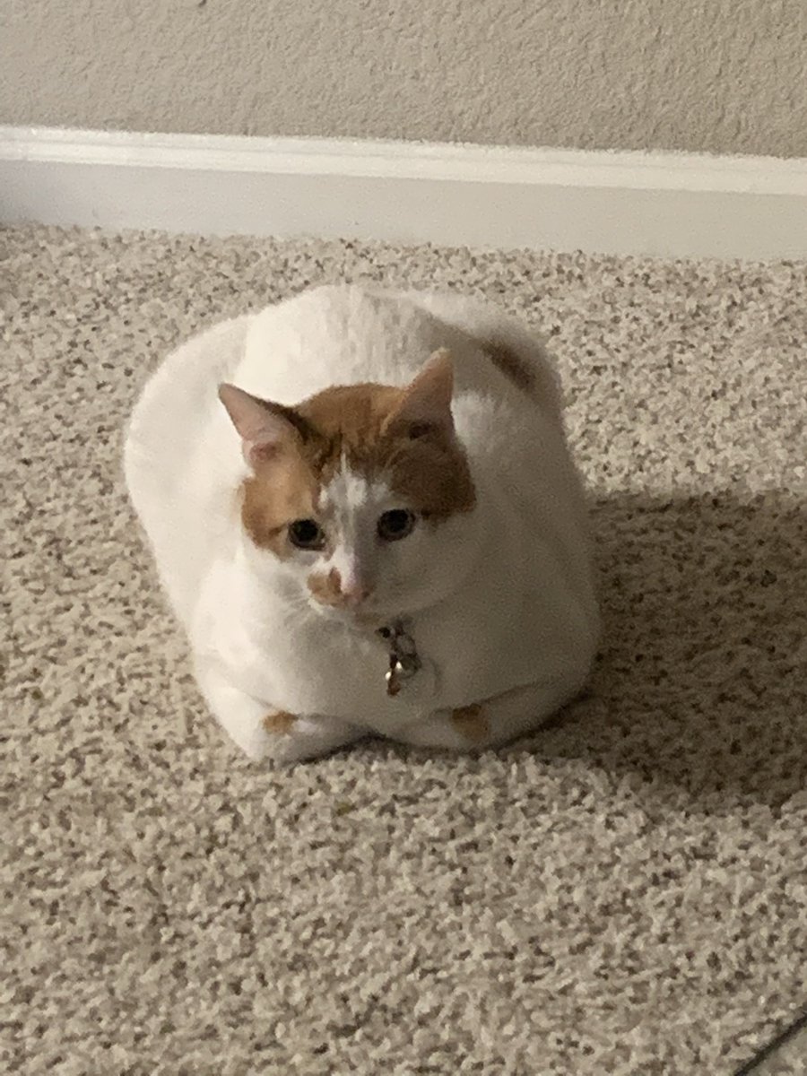 ck 🇵🇭 tweet media