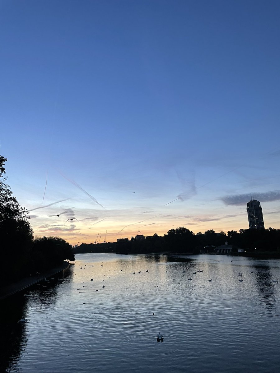 🌟💚LauraWalsh FRSA💚🌟 tweet media