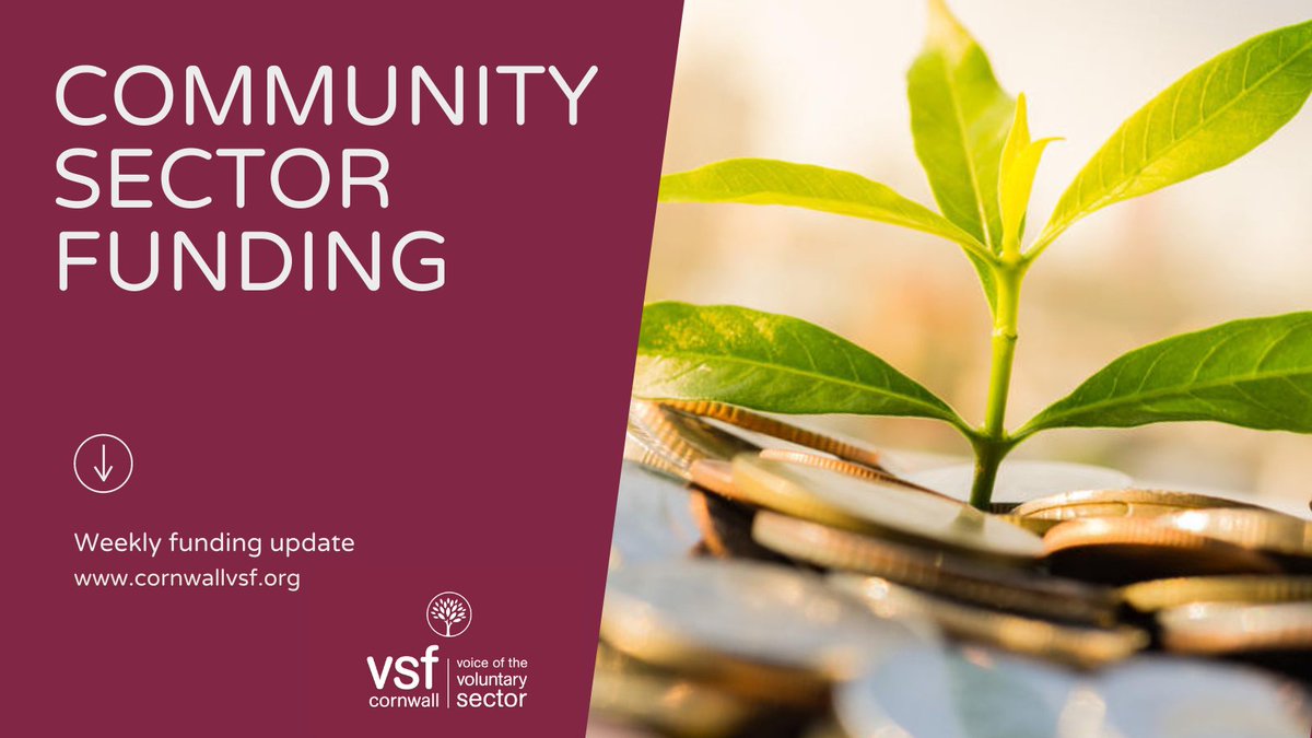 CornwallVSF's tweet photo. Grants to support families in developing financial skills have been announced by @Cornwall_CF. Find this and other #grants #funding opportunities in our weekly list https://t.co/wh8jwRpm8n https://t.co/N1XFiXbJae