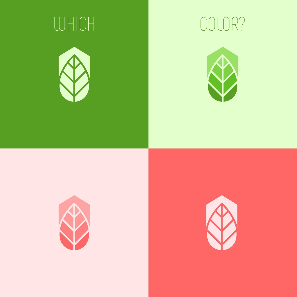 MaDegStudio's tweet photo. Check out my new Logo Design Design

Follow @MaDegStudio for more beautiful designs.

#logo #logodesign #designer #graphicdesign #design #uidesign #ui #modernlogo #madeg https://t.co/TcZGPINMMG
