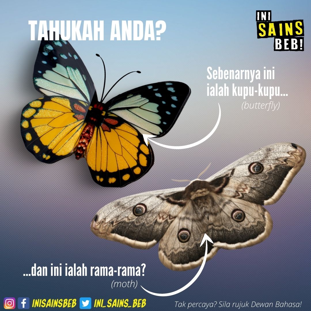 KheyHeyHey (@kelimerah) / Twitter