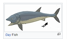 🎷🐛 tweet media