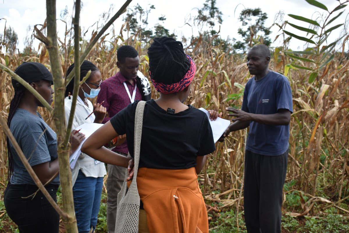 NutriProduce's tweet photo. Equipped with practical skills and knowledge, @mr_wariyo and colleagues collected data through interviewing farmers in Kiminini sub county, TransNzoia county and filled in questionnaires. @FutureForAll @LarmatUon @uoncavs @ISFAAKE @ely_kipkoech @Faithchemutai12 https://t.co/LC9lzga0vV