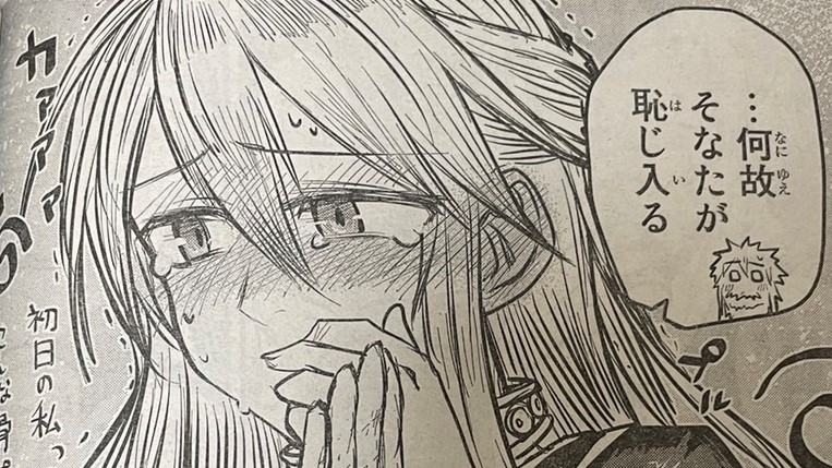 【 #姫騎士は蛮族の嫁 】
今月はカッコいいセラも可愛いセラもいます!
Twitterには照れてるセラを置いておきますね。
#別マガ 11月号、発売中!
