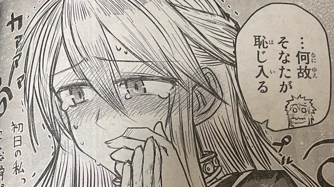 【 #姫騎士は蛮族の嫁 】
今月はカッコいいセラも可愛いセラもいます!
Twitterには照れてるセラを置いておきますね。

#別マガ 11月号、発売中! 