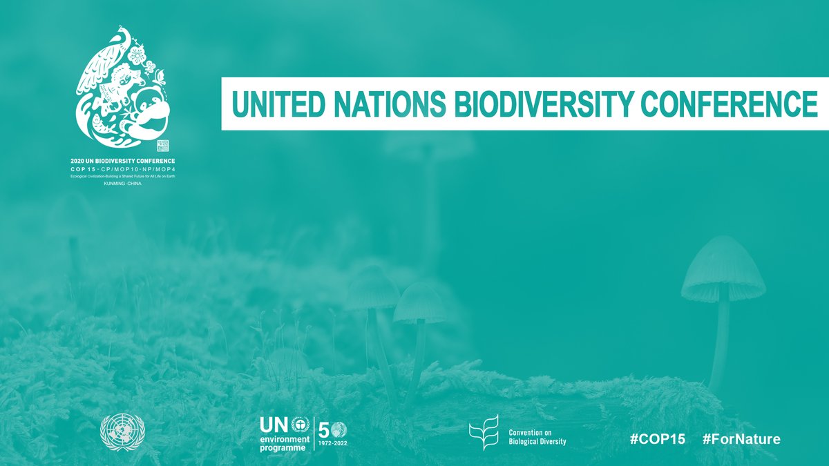 🚨 HAPPENING NOW: The opening plenary of the UN Biodiversity Conference

Tune in as governments from around the world come together for the first part of #COP15 - a critical meeting for people and #ForNature.

🔴 Watch live: cbd.int/live