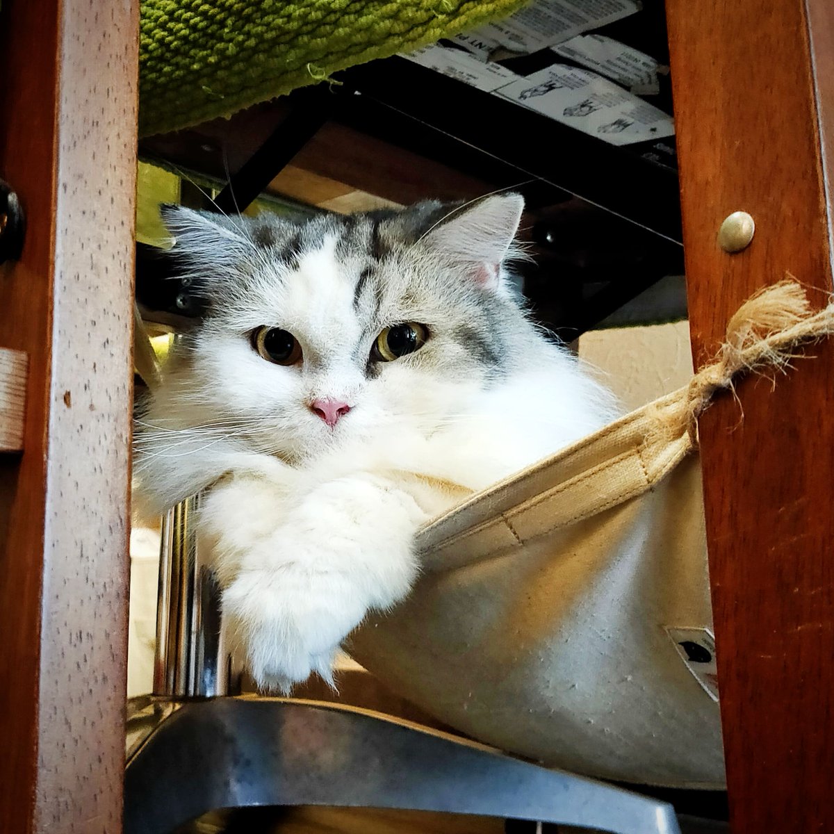 ちりきら Room Chirikiraroom Twitter