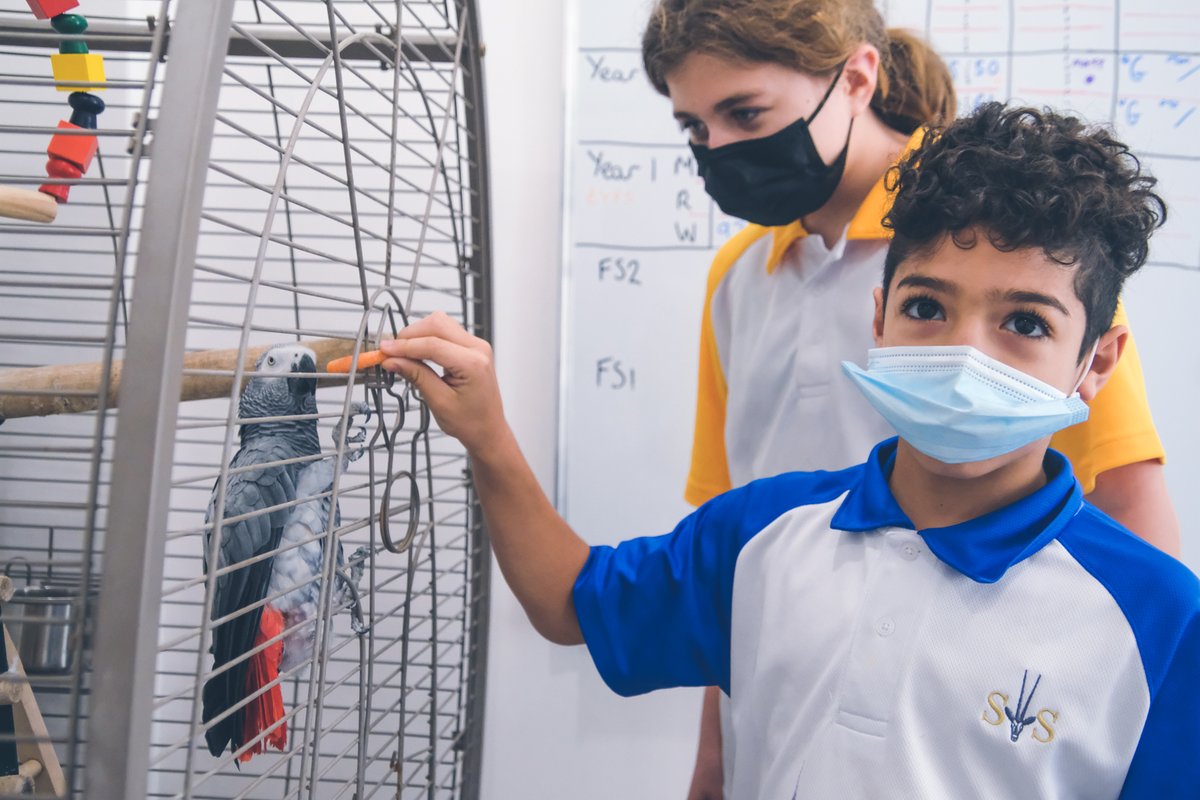 SouthViewSchool's tweet photo. Feeding time for Kusuki! ๐ฆ
#southviewschool #imaginegreatness #togetherwesmile
#togetherwevalue #togetherwesucceed #studentlife
#britisheducation #students #dubaischools https://t.co/2CjUTjDPeG