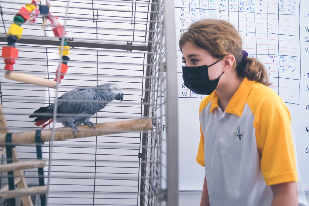 SouthViewSchool's tweet photo. Feeding time for Kusuki! ๐ฆ
#southviewschool #imaginegreatness #togetherwesmile
#togetherwevalue #togetherwesucceed #studentlife
#britisheducation #students #dubaischools https://t.co/2CjUTjDPeG