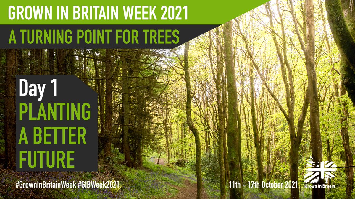 Grown in Britain Week is here! Today we are celebrating the planting of a better future with new woodlands and new opportunities springing up all over the UK! #GrowninBritainWeek #GiBWeek2021