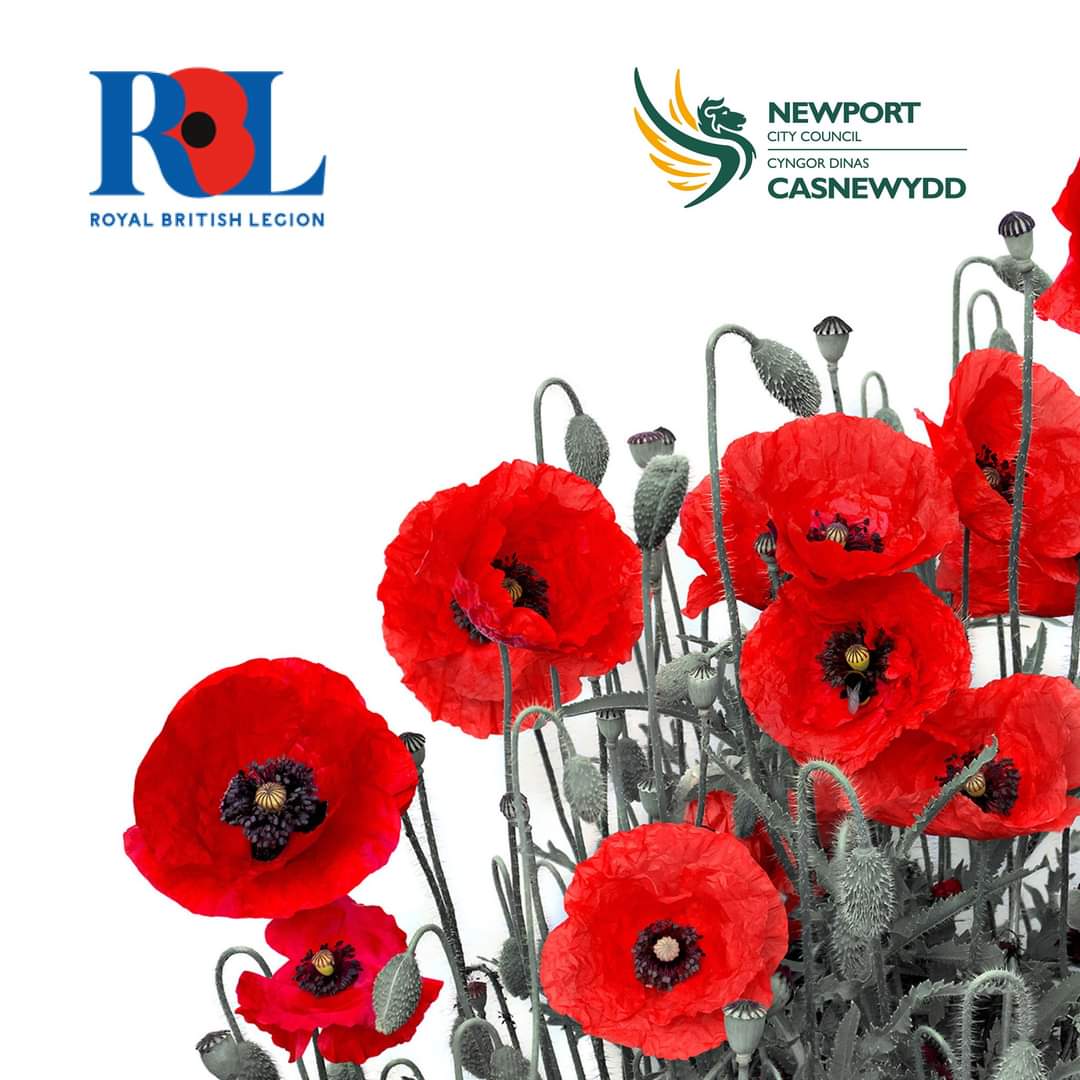 Gwent Royal British Legion & Poppy Appeal tweet media