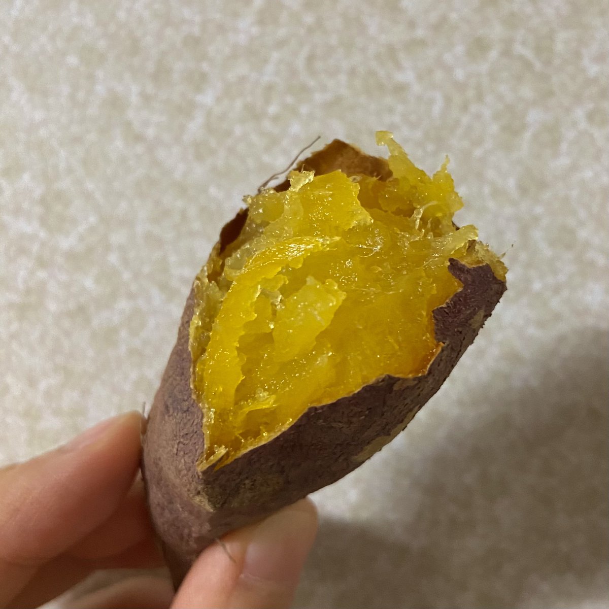 또라젤 tweet media