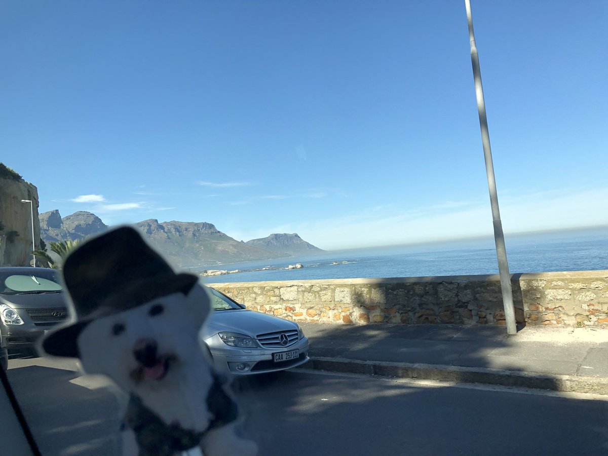 PerfectParker4's tweet photo. Come with me on a driving tour of the Cape Peninsula! Will we see our first zebra?! #flatparker https://t.co/XuUsfSYOgl