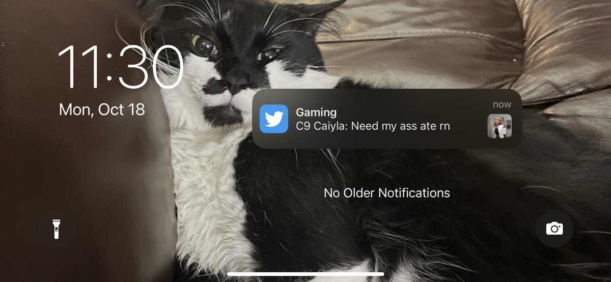 Samuel Ramirez tweet media