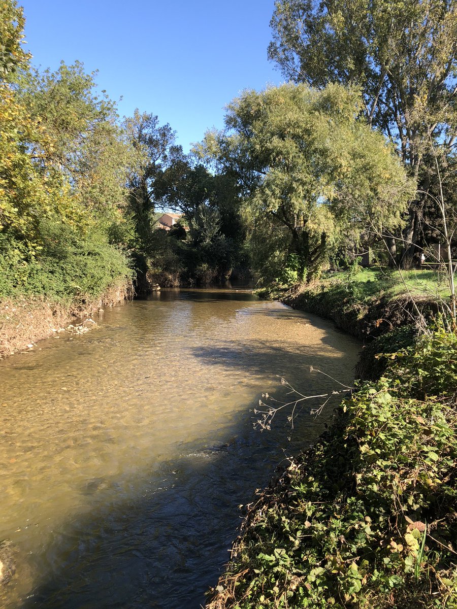 ASurmelin's tweet photo. #coursd’eau que nous aimons : l’Arc à Aix en Provence, fleuve côtier qui se jette dans l’étang de Berre. @aixmaville https://t.co/P1HRh1yVQB