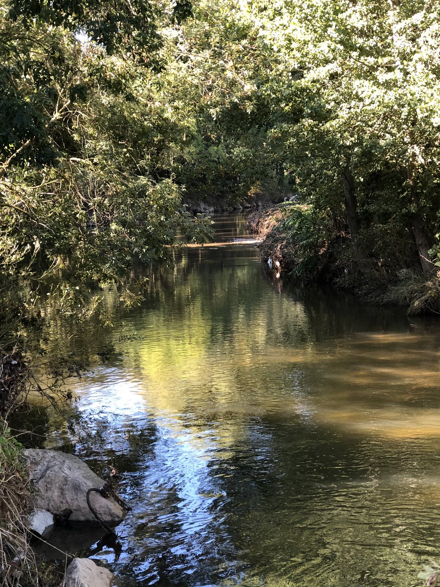 ASurmelin's tweet photo. #coursd’eau que nous aimons : l’Arc à Aix en Provence, fleuve côtier qui se jette dans l’étang de Berre. @aixmaville https://t.co/P1HRh1yVQB