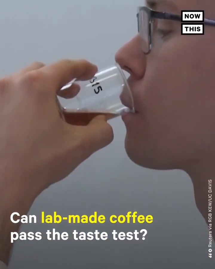 NowThis on Twitter "The coffee industry is in danger due to the