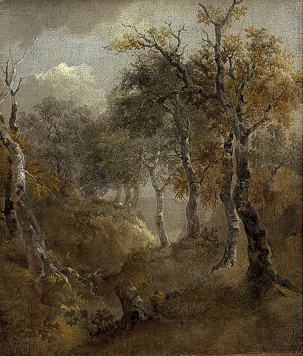 NorwichCastle's tweet image. If you’ve enjoyed our autumn paintings (and are shopping early for Christmas!) you might like to know that prints of these paintings can be ordered from our @Artuk shop artuk.org/shop/featured-… where you’ll find 171 art works from our collections available framed or unframed.