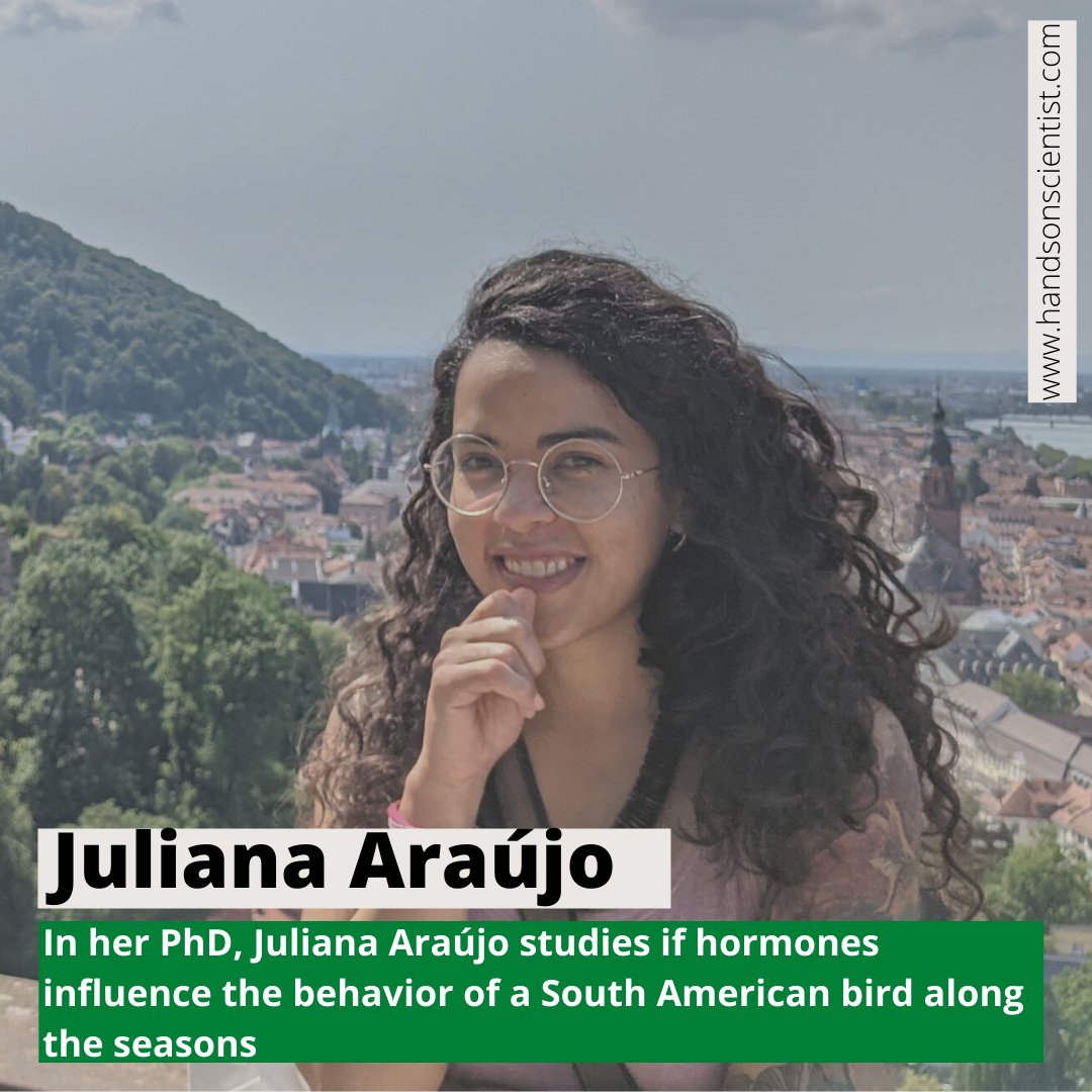 hoscientist's tweet photo. A South American bird migrates up to 6,000 km in winter searching for warmer temperatures. But how are the weather changes processed in its brain, leading it to migrate? Learn more about Juliana da Costa Araújo and her PhD project.
https://t.co/daz7Kw3fsZ
#scicomm #phdlife https://t.co/LuO1mhplfs