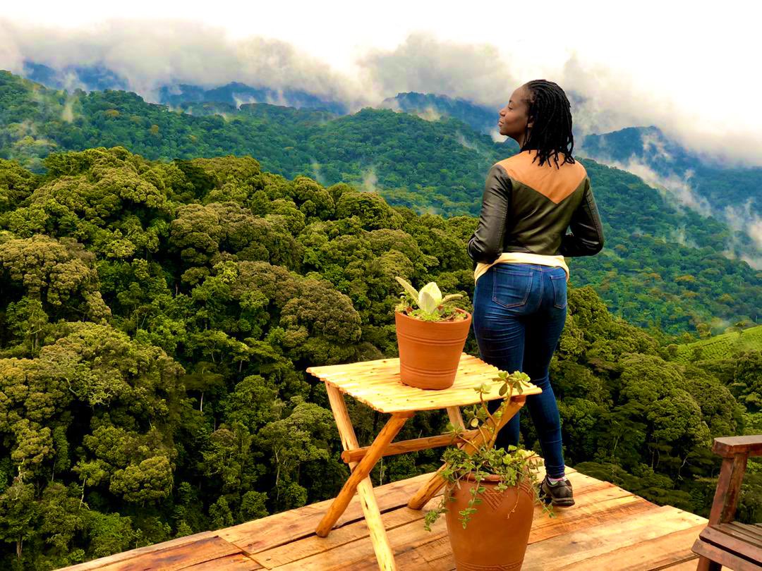 Is this where Adam &amp; Eve called home once? May be Eden was somewhere in an impenetrable Forest of #Uganda - #Bwindi is such a heavenly garden that host more than half mountain #gorillas. #BeautifulUG Can we host you for a #GorillaTracking adventure? #VisitUganda #PearlofAfrica