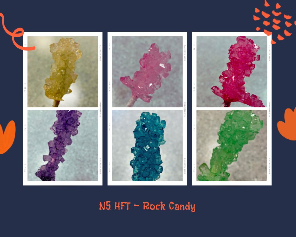 After their October holiday, N5 HFT returned to see if any sugar magic had happened 🪄✨ It had, and I was relieved 💎😅 #crystallisation #rockcandy