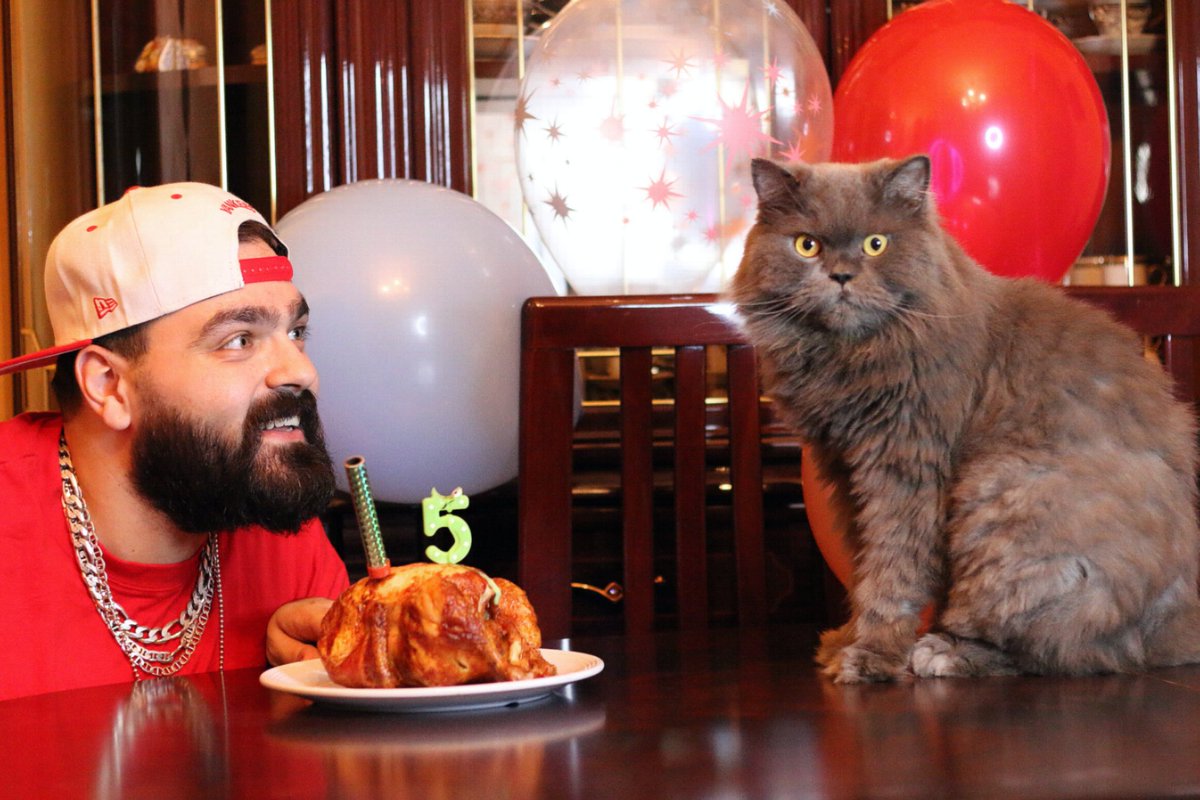 The__Big__B's tweet photo. I chose you to be my best friend because you are such a wonderful cat with cute purrs and round yellow eyes. To my little lion, I wish you a lovely birthday! 😻

Making me feel like the luckiest cat owner in the world is something really priceless. ❤️❤️ https://t.co/EleDsexmPd