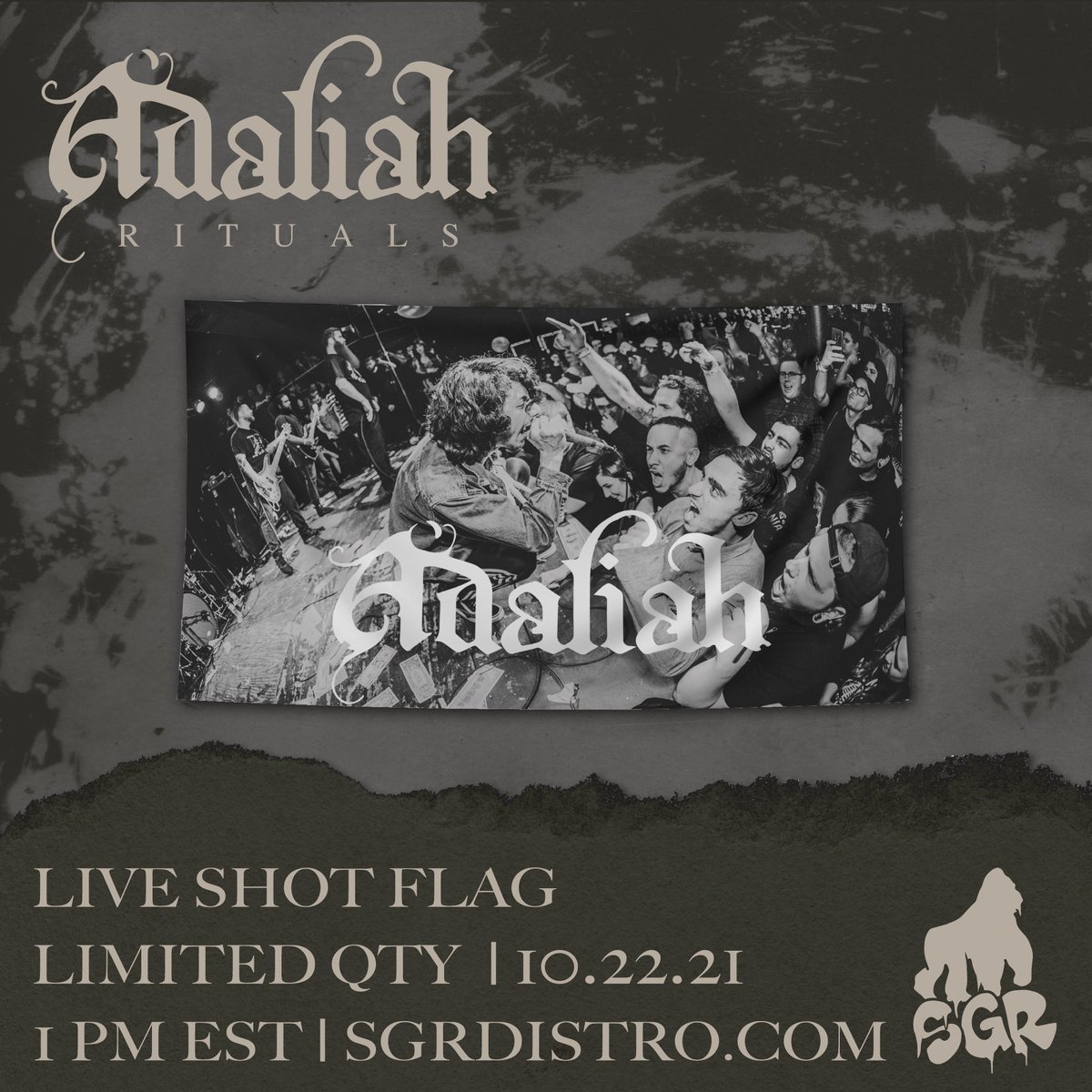 Silverback Gorilla Records tweet media