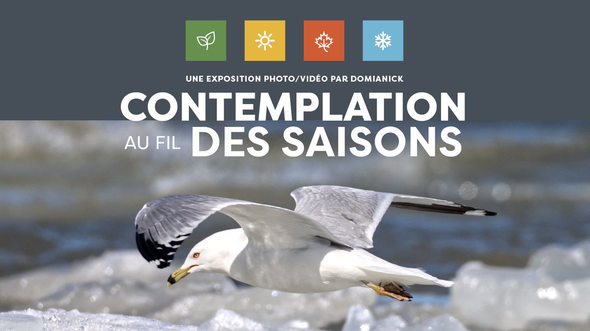 Biophare - Institution muséale & Randonnée nature tweet media