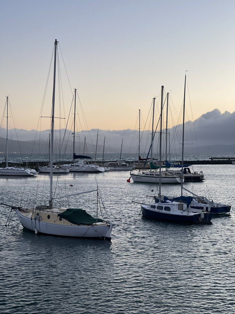 This shady lady is a determined lady. Up since 4:15am and already smashed a #F45 class in Wellington. I am getting stronger in my legs and am feeling super fit and fabulous. 9/10 days of training this hard and my muscles are finally starting to pop. 

#NZ #Wellington #NewZealand #AmandaValentina