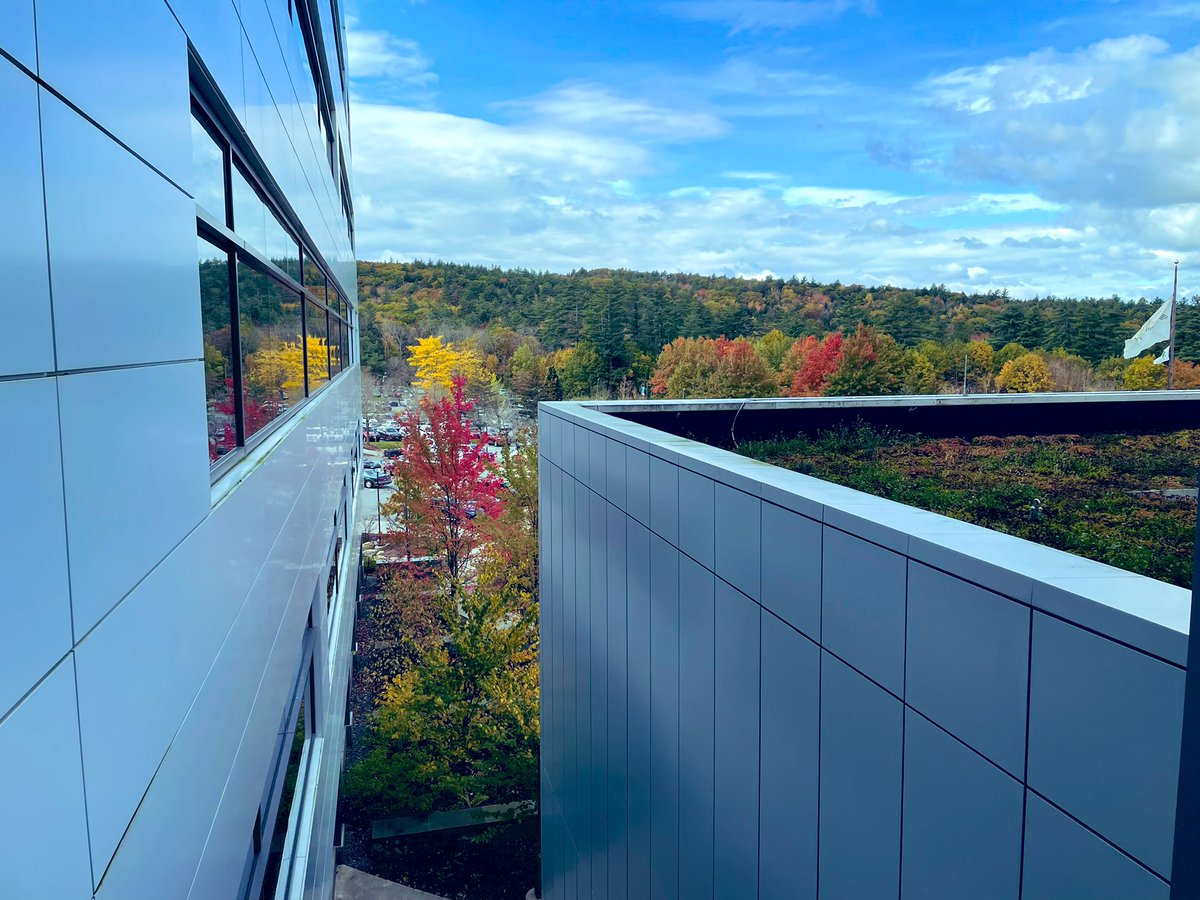 PettusPath's tweet image. 🍁🌲🚵🏼‍♂️🐾🏃🏽‍♀️🔬 I am thrilled with the 🔝batch of future #pathology stars scheduled for virtual interviews @DHPathRes this season. Not seen on Zoom: @DartmouthHitch is footsteps away from ~39 miles of wooded bike/hiking trails that transform yearly into an energizing autumnal haven.