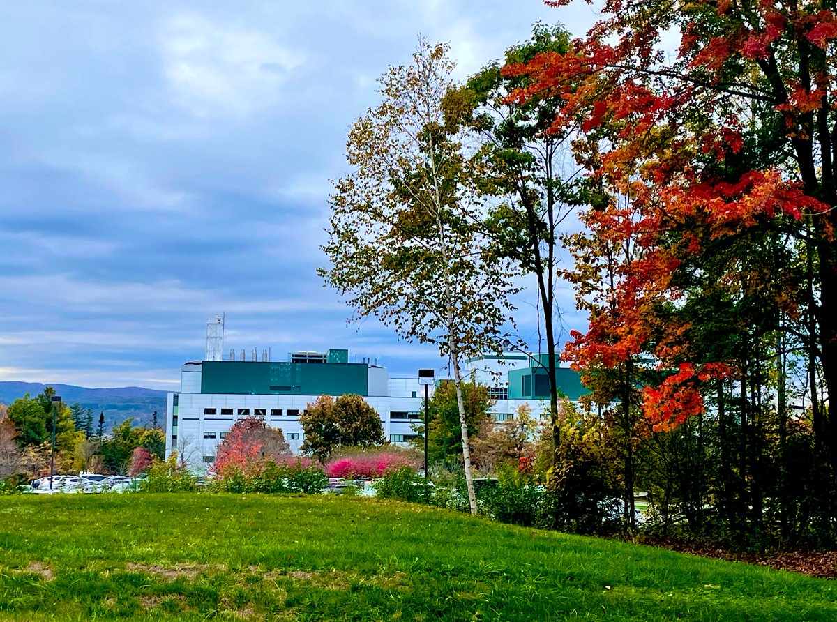 PettusPath's tweet image. 🍁🌲🚵🏼‍♂️🐾🏃🏽‍♀️🔬 I am thrilled with the 🔝batch of future #pathology stars scheduled for virtual interviews @DHPathRes this season. Not seen on Zoom: @DartmouthHitch is footsteps away from ~39 miles of wooded bike/hiking trails that transform yearly into an energizing autumnal haven.
