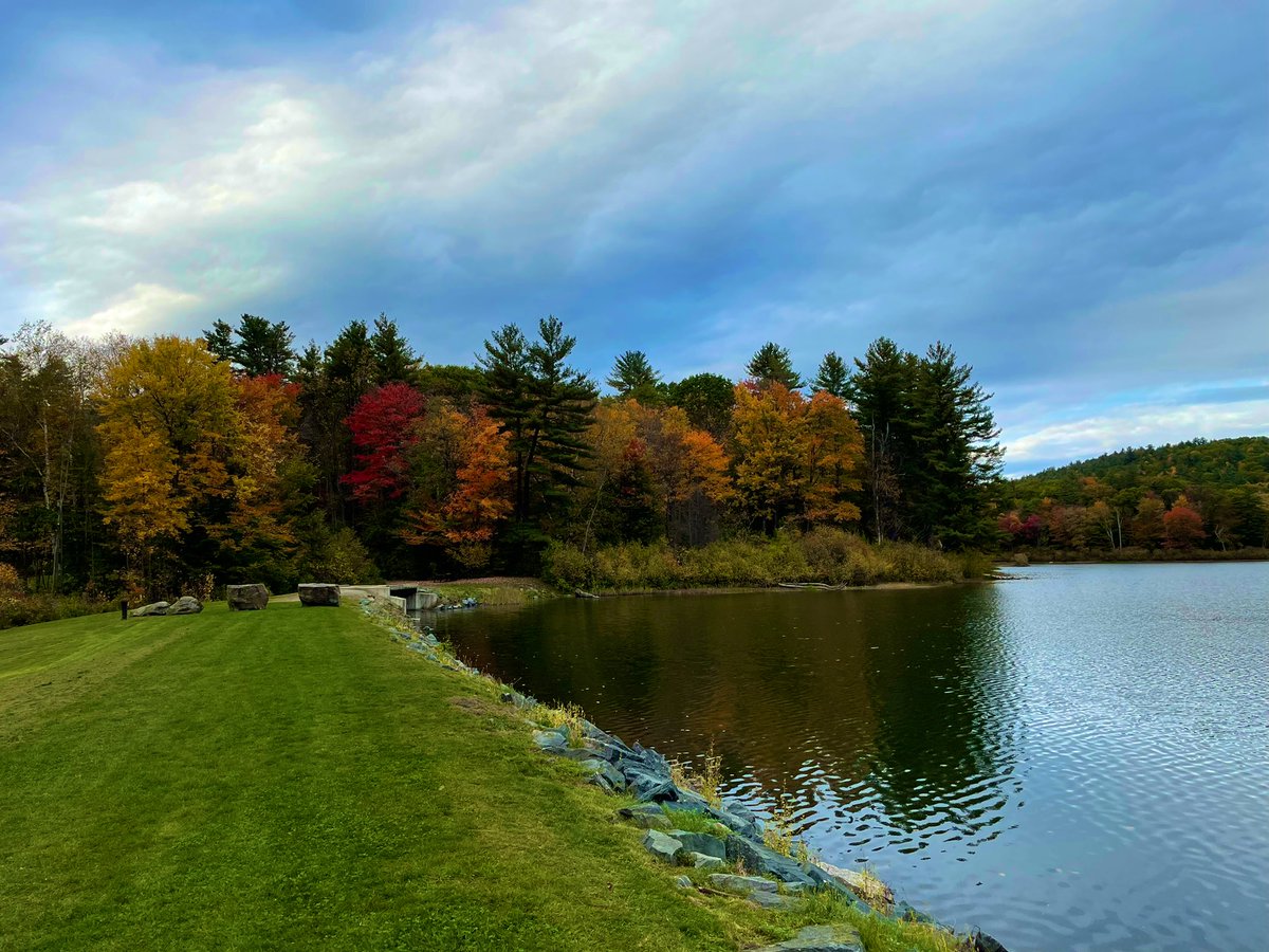 PettusPath's tweet image. 🍁🌲🚵🏼‍♂️🐾🏃🏽‍♀️🔬 I am thrilled with the 🔝batch of future #pathology stars scheduled for virtual interviews @DHPathRes this season. Not seen on Zoom: @DartmouthHitch is footsteps away from ~39 miles of wooded bike/hiking trails that transform yearly into an energizing autumnal haven.