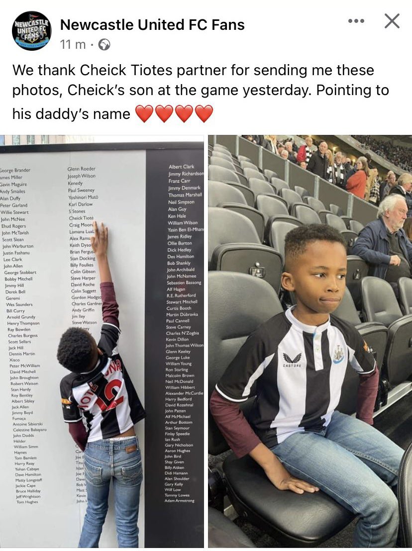 bronwynmogie's tweet image. How canny 🥰