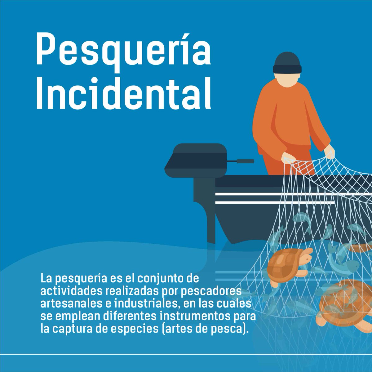 TandariEC's tweet photo. ¿Sabías que la pesca incidental es un problema que afecta directamente la diversidad de la fauna marina? Ocurre cuando animales que no son objetivos de pesca son capturados.
Sé parte del cambio e inscríbete para participar en la categoría #PesqueríaIncidental
Haz click en Bio📲 https://t.co/RBWHs2riEh