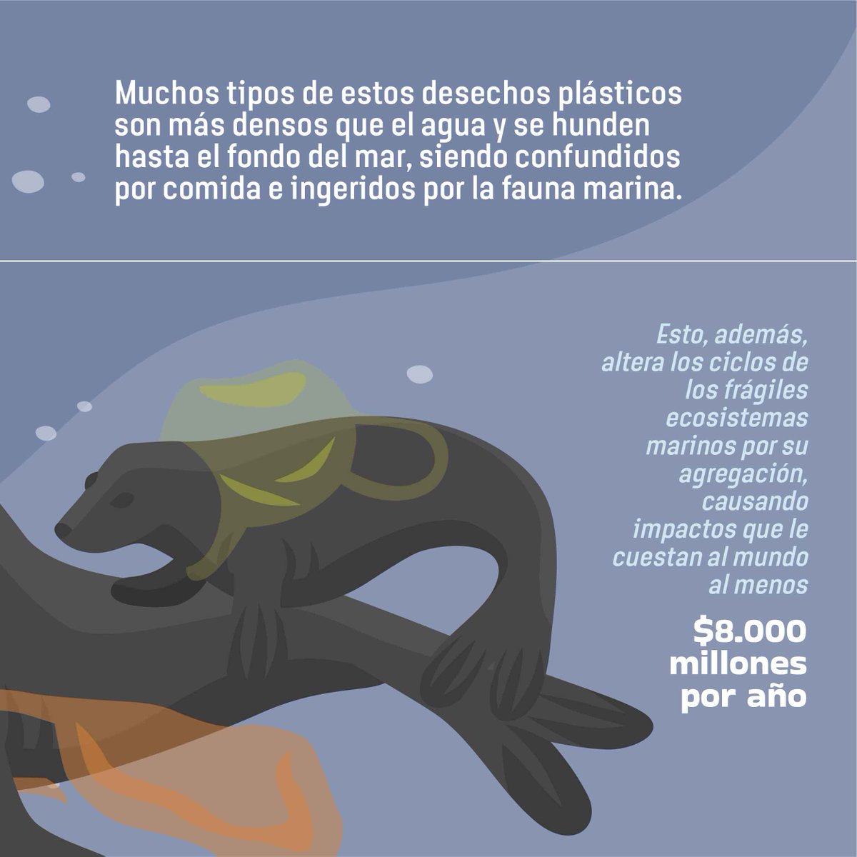 TandariEC's tweet photo. ¿Conocías estos datos de la contaminación por plásticos? Inscríbete en la #HackatonPorElOceano y participa desarrollando un emprendimiento ambiental a partir de soluciones innovadoras. 

Link en Bio https://t.co/oOPAb1WfBg 📲

#RetosDeInnovacion #HackatonPorElOceano #Ecuador https://t.co/nDQQTo9rVj