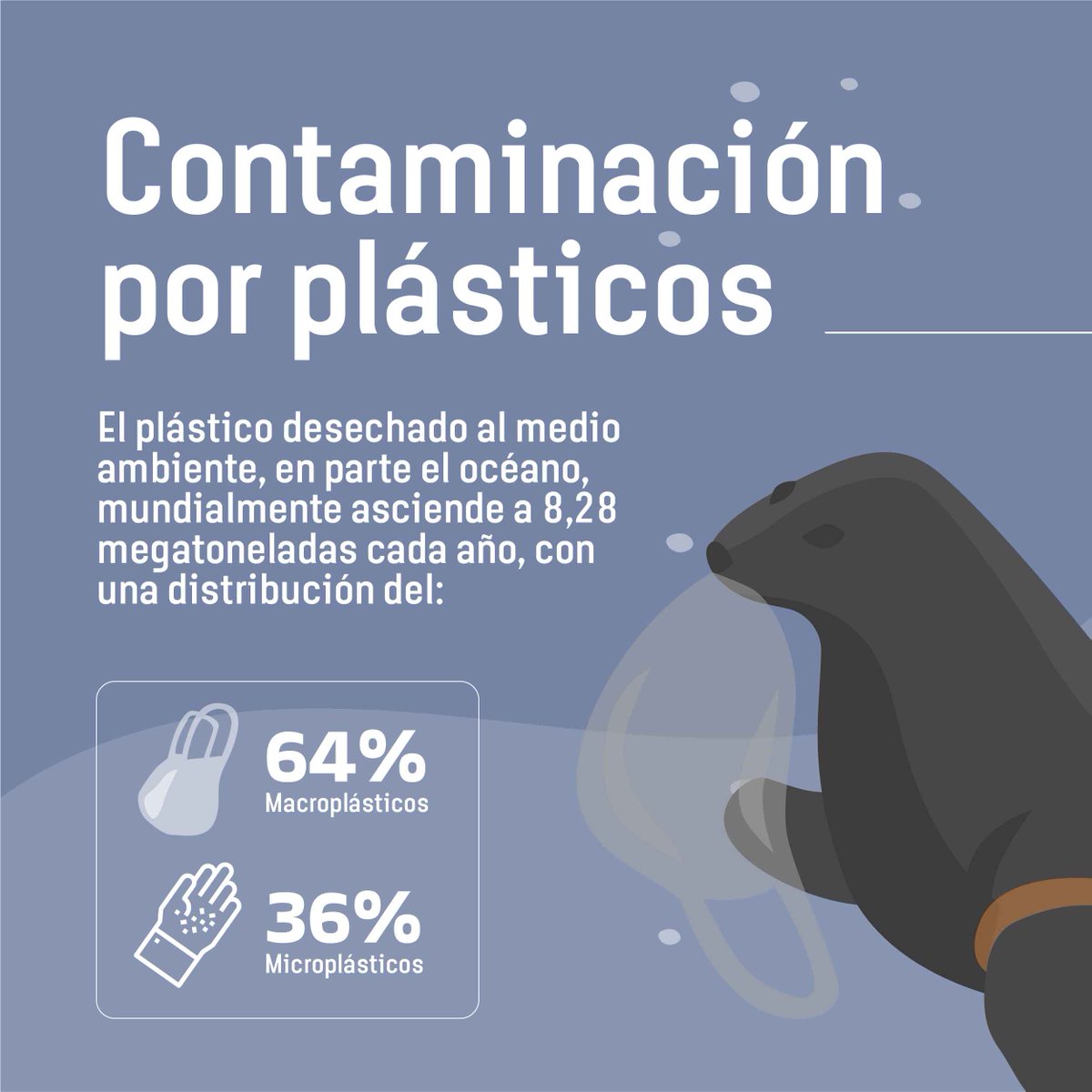 TandariEC's tweet photo. ¿Conocías estos datos de la contaminación por plásticos? Inscríbete en la #HackatonPorElOceano y participa desarrollando un emprendimiento ambiental a partir de soluciones innovadoras. 

Link en Bio https://t.co/oOPAb1WfBg 📲

#RetosDeInnovacion #HackatonPorElOceano #Ecuador https://t.co/nDQQTo9rVj