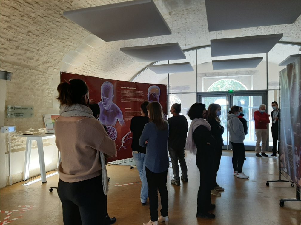 CastelAgnes's tweet photo. Suite de la journée de formation des accompagnateurs @CARDIE_Poitiers au #lab110bis de @acpoitiers. Cet après-midi focale neurosciences avec l’expo de l’@emfpoitiers en partenariat avec @RANouvAquitaine. Des cerveaux en action ! https://t.co/zgca5TjXgu