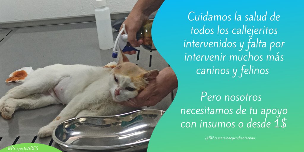 RIErescateindep's tweet photo. No vemos raza ni condición, realizamos las esterilizaciones por el bien de los peluditos.
Apoyemos el #PROYECTO_ARES. Desde 1 $ o con insumos médicos.
Entérate más -> https://t.co/4yd73qCdpp
Sigue nuestras redes sociales. https://t.co/xAfzaN3tNj
#ayudaamimal #adoptanocompres https://t.co/13DowrFRpv